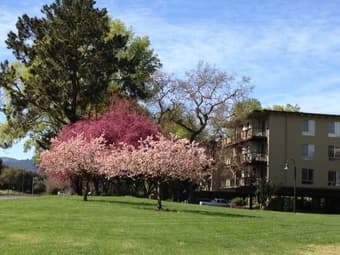 Entire furnished 1 bedroom/bath minutes to Stanford 1