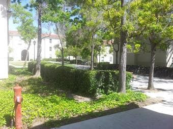 Fully furnished summer sublet on campus (Rains) 4