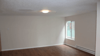 Newly Renovated, Spacious 1bd/1ba Apartment (Redwood City) 2