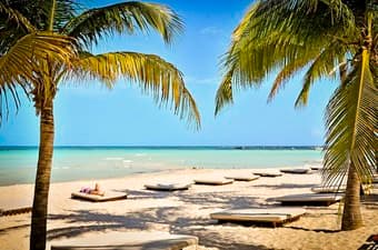 Seeking Travel Companion! Mexico! 1