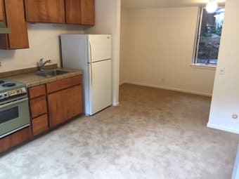 Studio Apartment on Skyline Blvd 2