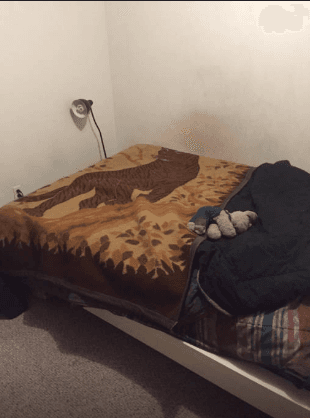 $20/NIGHT! Downtown Palo Alto, Hippie House - $20 2