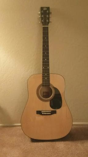 Acoustic Guitar & protective case 1