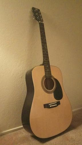 Acoustic Guitar & protective case 2