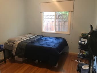 Cosy room in house with spacious backyard/common area 4