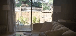 PRIVATE BEDROOM in 3-bedroom apt - Mountain View - 3-MONTH RENTAL 2