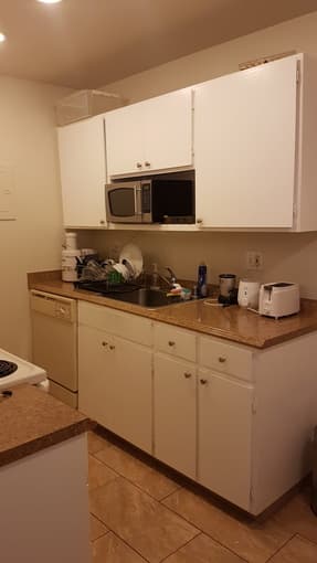 Large, 1 Bed room apartment in Mountain View from mid-June to late-Aug 2