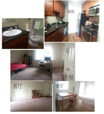 斯坦福附近两室一厅求合租 - $1,400 1