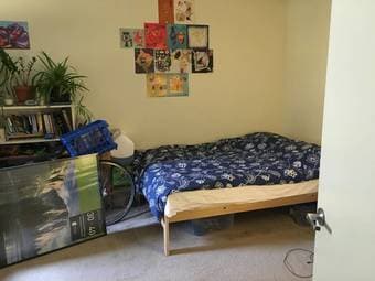 Room for rent or long-term sublet in sunny North Oakland 2-bedroom apt 3