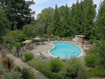 Gorgeous 2B/2bath spacious top floor condo in Mountain View 4