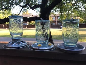 Beautiful glass bird feeder, hummingbird feeder and bird waterer 1