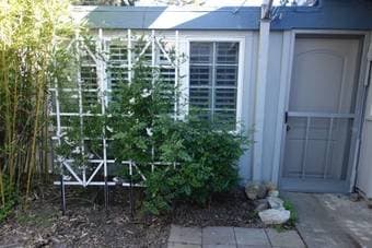 1BR in Cupertino with Private Entrance and Bath for rent near Main St 3