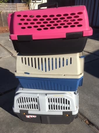 Pet crates 1
