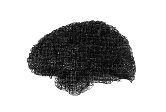 Internship in Psychiatry/Neuroscience Neuroimaging 1