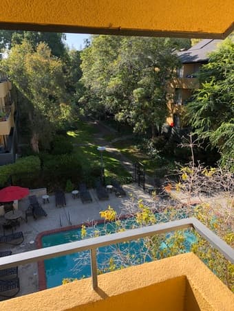 Room for Rent in 3BR Mountain View Apartment August 1st - 31st 3