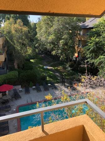 Room for Rent in 3BR Mountain View Apartment starting September 1st! 3