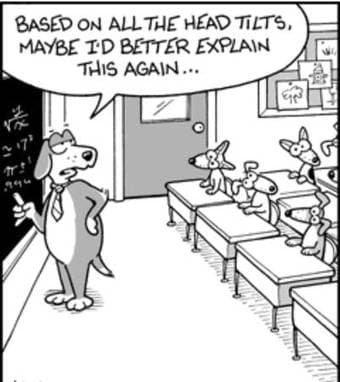 Math Tutor (Experienced) B.S. in Mechanical Engineering (Spanish also) 2