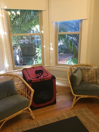 $1890 Master in Beautiful Bernal Heights Flat  (San Francisco) 2