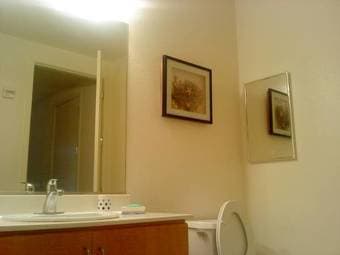 One bed/one bath with private entrance (Palo Alto) - 158 ft2 4