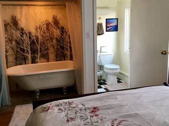 Sunny Studio apt - Laundry, Garden, Easy Parking (North Peninsula) 2