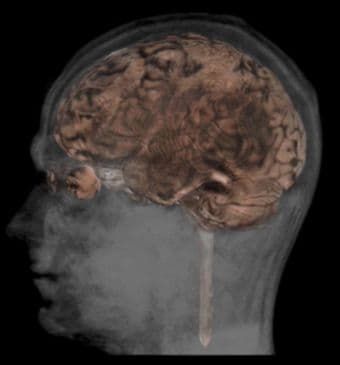 Part-time Human Neuroscience Research Assistant 1