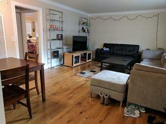 Looking for female roommate for cute 2 bedroom apt 1
