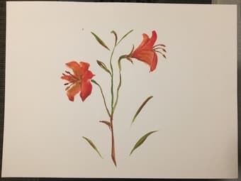 Selling watercolor art 2