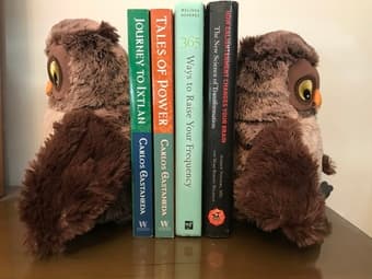 Book ends secrete compartment 1