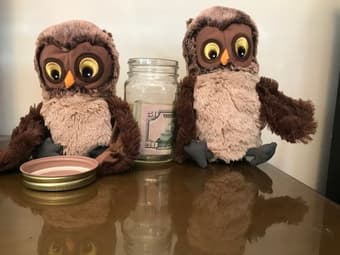 Book ends secrete compartment 2