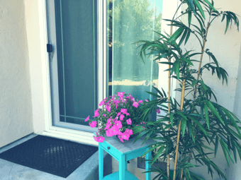 Fully-furnished studio, short term ok, only available Dec & Jan 2