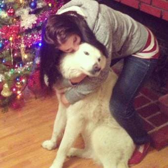 Looking for long-term affordable housing dog friendly near Stanford 1