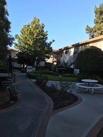1 Bedroom available for rent in 2 Bed/1 Bath Apartment in Sunnyvale 1