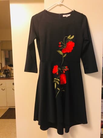 Brandnew Jasp dress (XS) 1