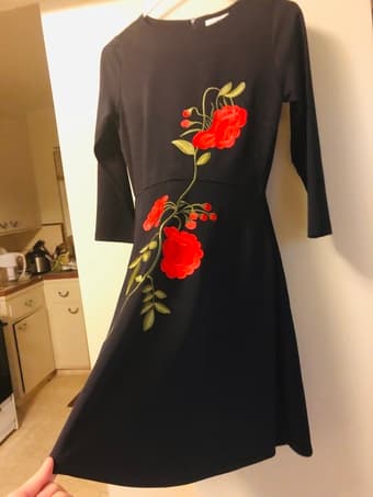 Brandnew Jasp dress (XS) 2