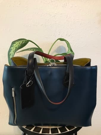 Betabrand Travel Bag 1