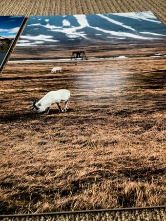 Gallery quality 16x24 landscape print 3