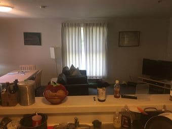 1-BR in Rains 4-BR, on campus, 3/15 to 5/6. $1,200 / mo. 2