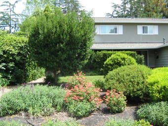 Palo Alto House for Rent: 5B/3B, Available June 1st, $7285/month 4