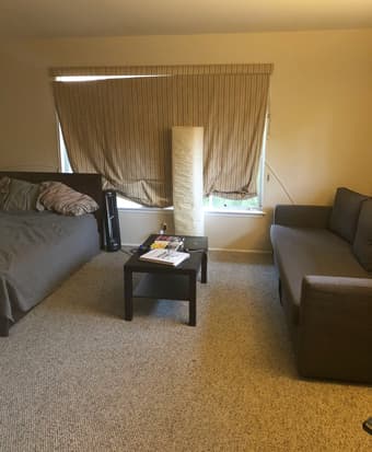 4 Bedroom 2 Bathroom House in College Terrace - Ideal Location 4