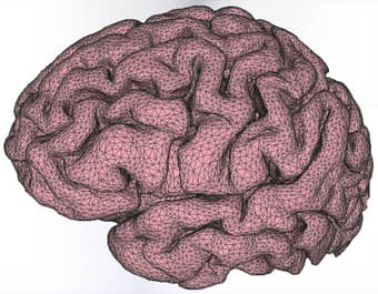 Part-time Human Neuroscience Research Assistant 1