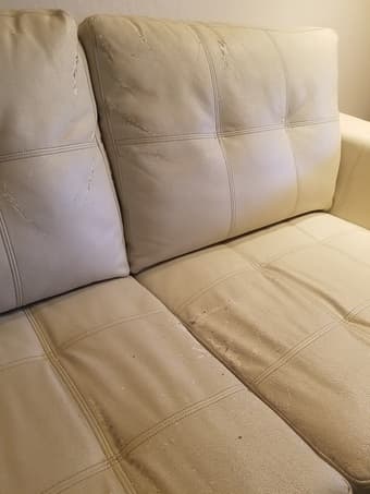 Two Free Couches 3