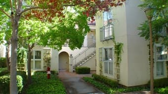 Rains private room in 2BR. Female, Stanford affiliated. June 17-Sep 15 2