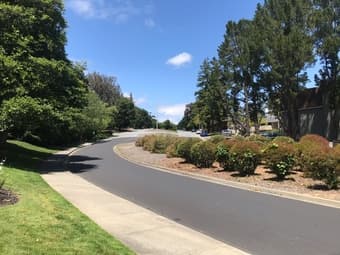 2B/2B Looking for female roommate. from July 1st, Menlo Park 4