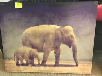 Two Wall Paintings In Great Condition - $5 each 1