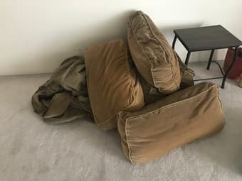 Free couch! 2