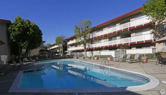 Room for rent in 2-bed apt avail after 08/24 – downtown Mountain View 1