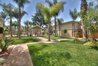 1 Bedroom in 3 Bedroom Apt.  Shared bathroom 1