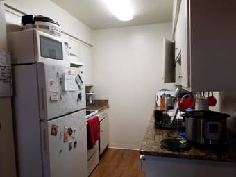 1 Bedroom in 3 Bedroom Apt.  Shared bathroom 3
