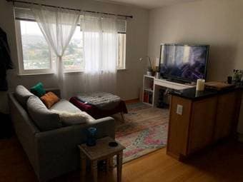 1 bedroom apartment - whole apartment fully furnished (San Francisco) 1