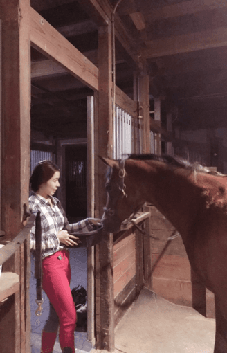Do you love horse riding? A Beatiful Arab Mare in Los Altos Hills 1